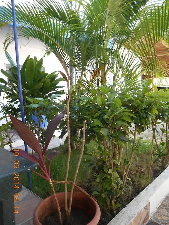 חואן דוליו Lucy Rooms